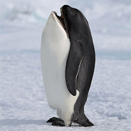 Killer Penguin Emoticon