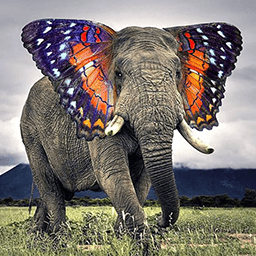 Butterphant Emoticon